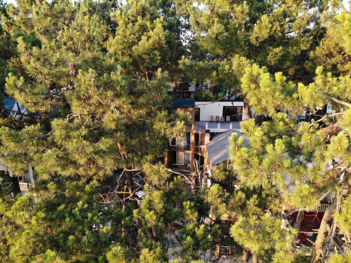 Mana-Mana Hotel Grigoleti Bagian luar foto